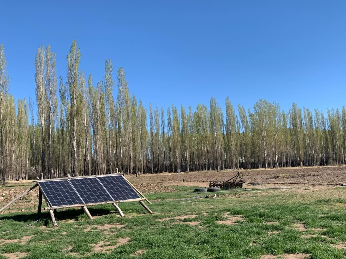 Un panel solar en el campo, con la hilera de álamos detrás