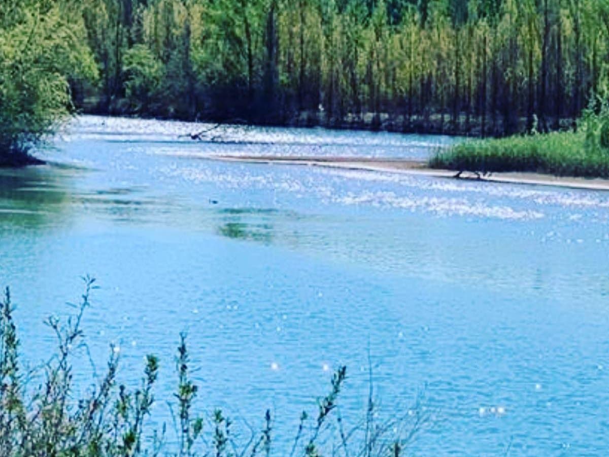 Frente de río dentro del territorio, con vegetación de ribera