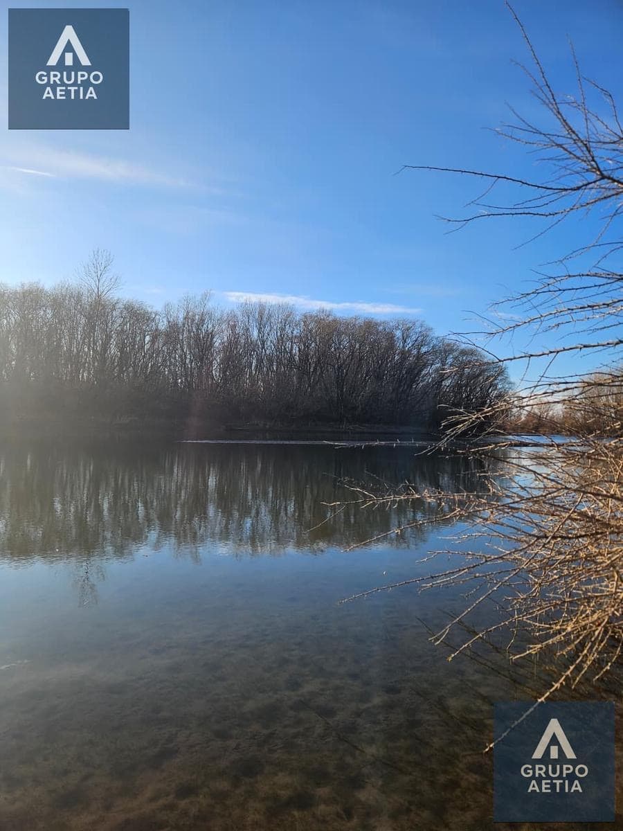 El río con los álamos sin hoja reflejados