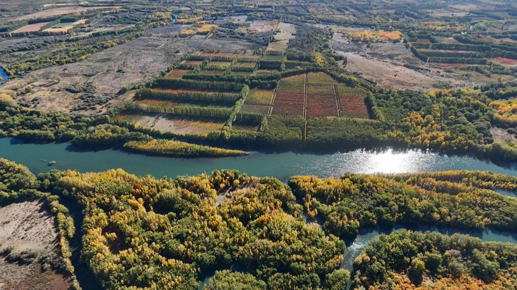 Vista aérea de las chacras de Soluna en cuadrícula, entre la barda y el río
